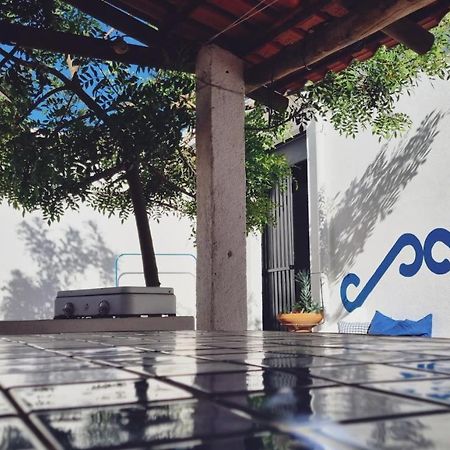 Quintinha Do Sal - Casa Das Flores Alcácer do Sal Εξωτερικό φωτογραφία