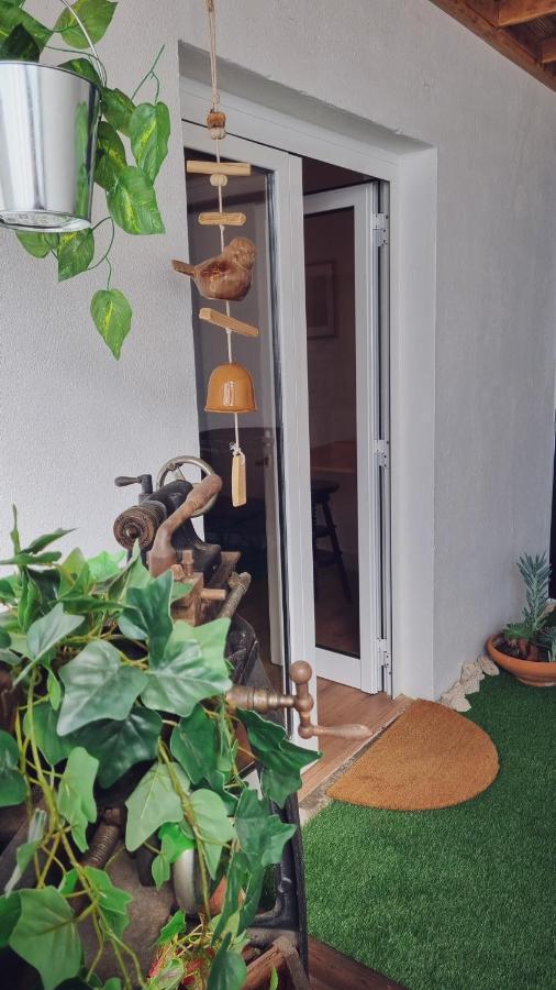 Quintinha Do Sal - Casa Das Flores Alcácer do Sal Εξωτερικό φωτογραφία