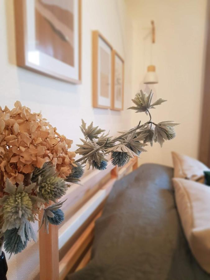 Quintinha Do Sal - Casa Das Flores Alcácer do Sal Εξωτερικό φωτογραφία