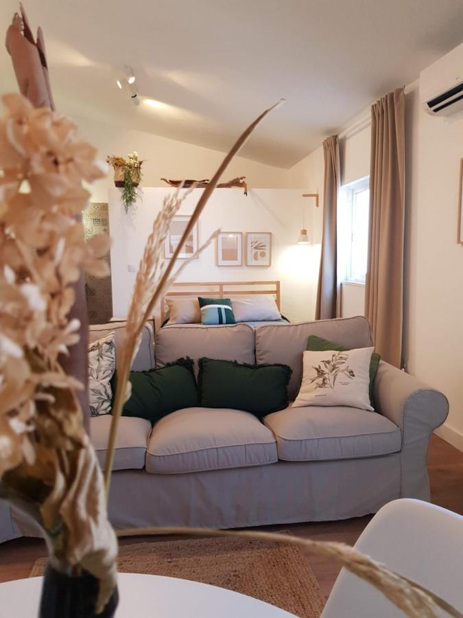 Quintinha Do Sal - Casa Das Flores Alcácer do Sal Εξωτερικό φωτογραφία